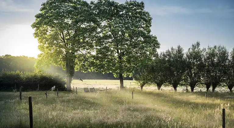 Sommerhus i Haaksbergen