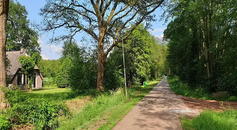 Holiday home in Ruinen