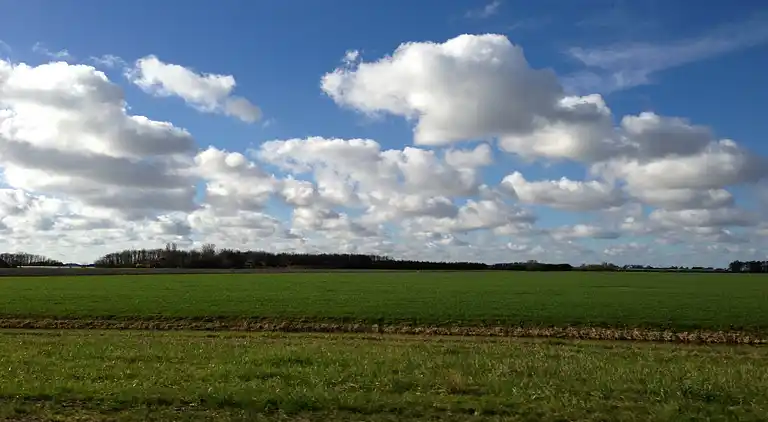 Sommerhus i Tzummarum