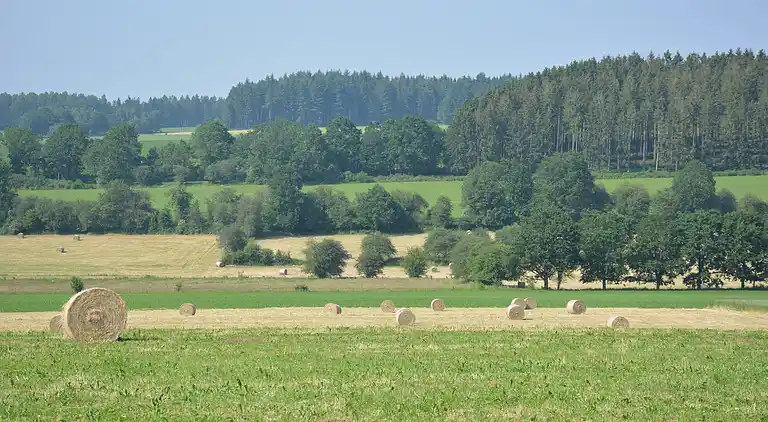 Holiday home in Haut-Fays