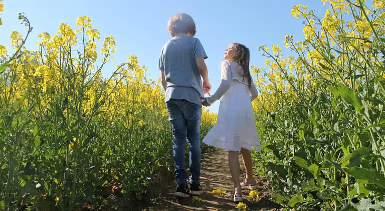Ferielejlighed i Damshagen