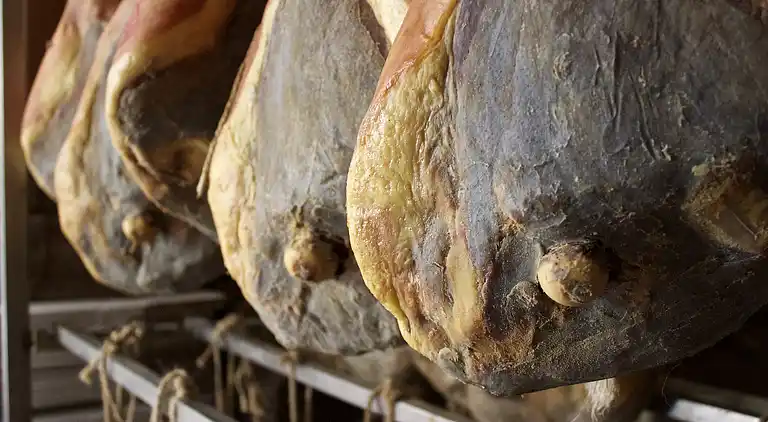 Ferielejlighed i Casalfiumanese