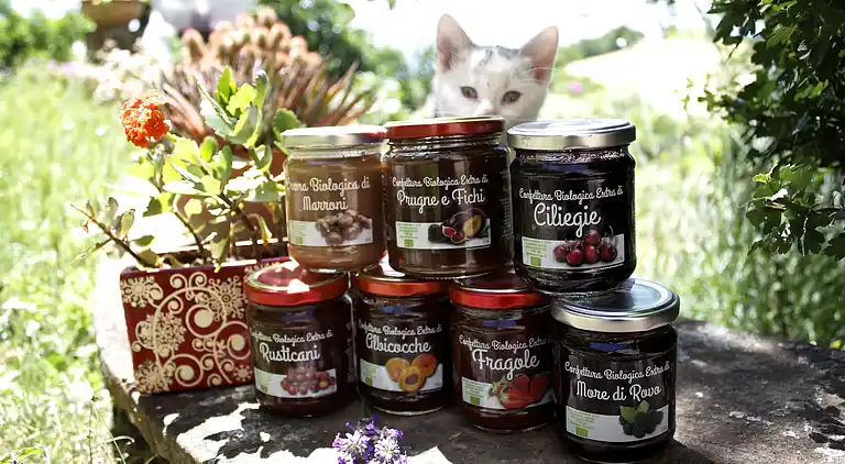 Ferielejlighed i Casalfiumanese