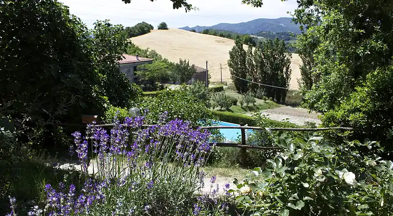 Ferielejlighed i Casalfiumanese