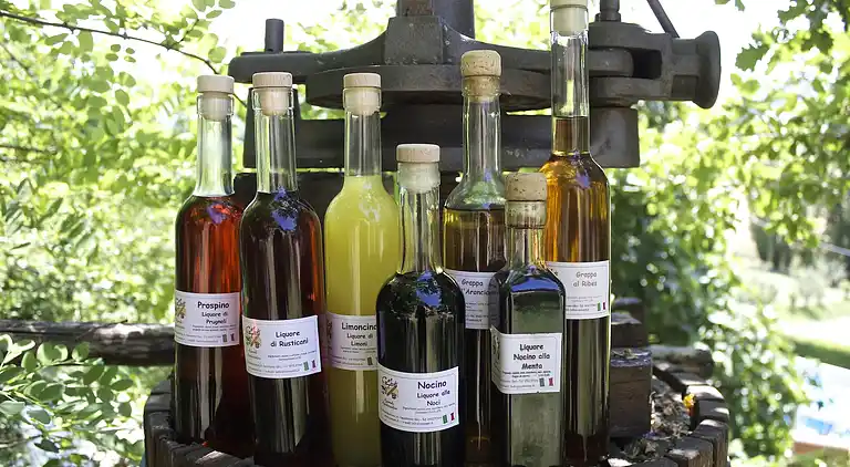 Ferielejlighed i Casalfiumanese