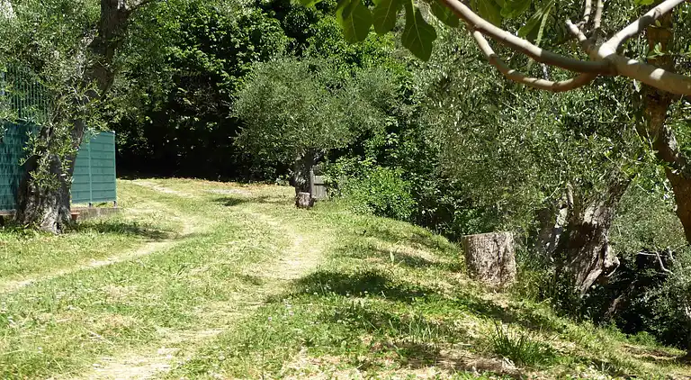 Holiday home in Vicopisano