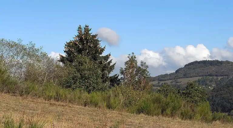 Hytte i Ferienhausgebiet Hillenseifen