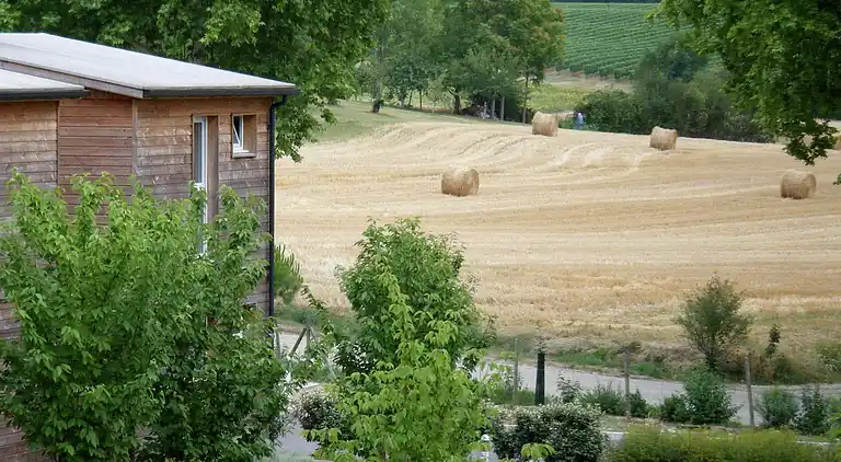 Apartment in Montréal