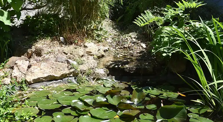 Vakantiehuis in Leina