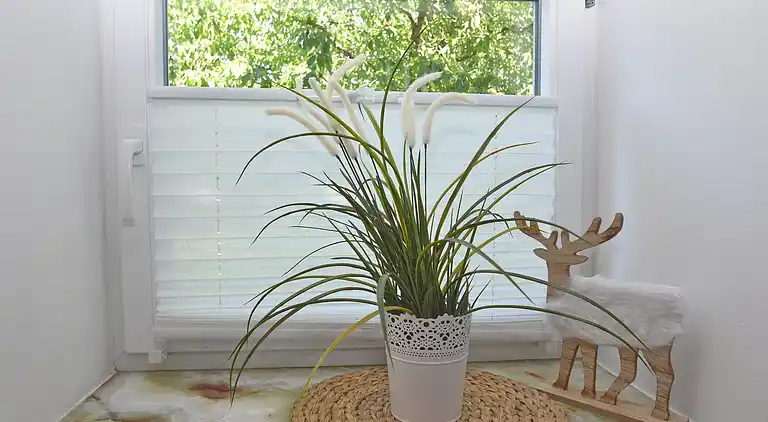 Vakantiehuis in Leina