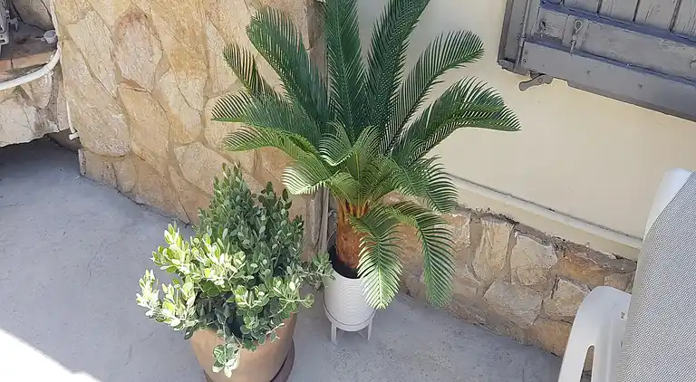 Villa in La Casa Nova