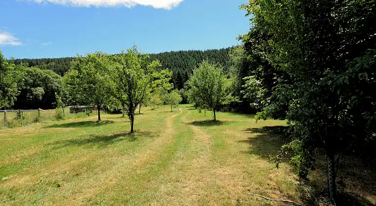 Holiday home in Lommersweiler