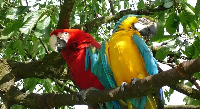 Sommerhus i Ahnatal-Weimar