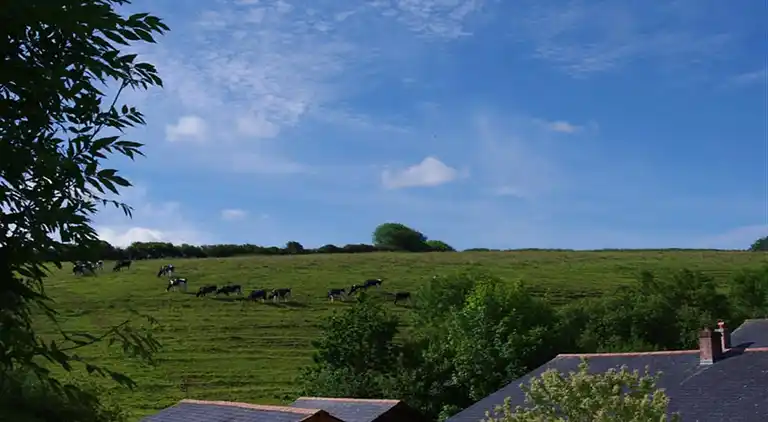 Holiday home in Little Petherick