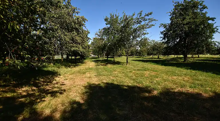 Holiday home in Herveld