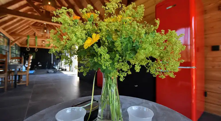 Holiday home in Herveld