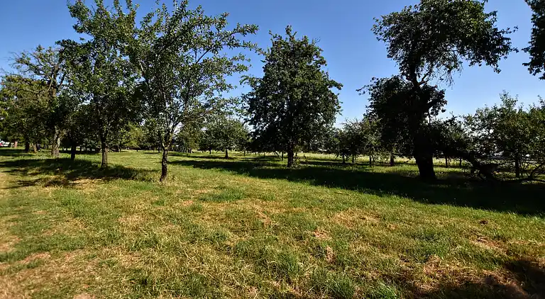 Holiday home in Herveld