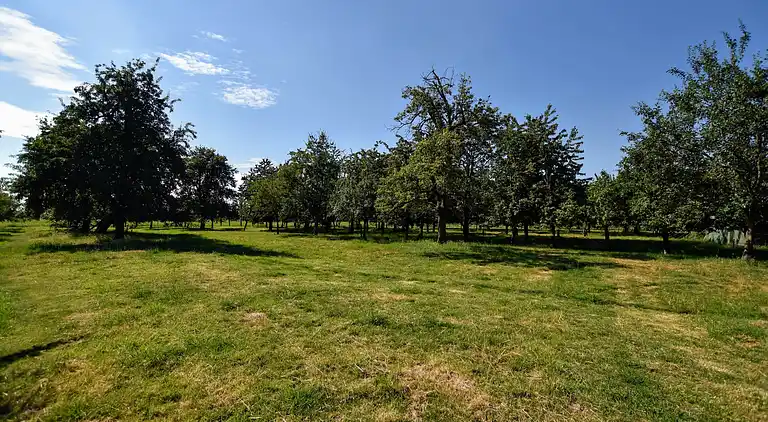 Holiday home in Herveld