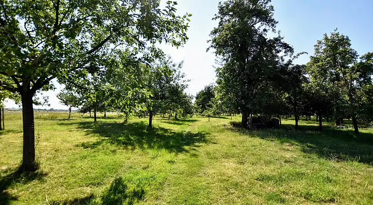 Holiday home in Herveld