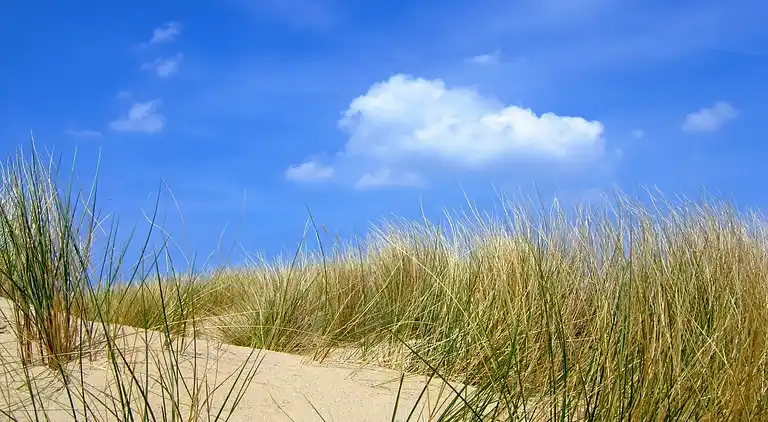 Sommerhus i Segbroek