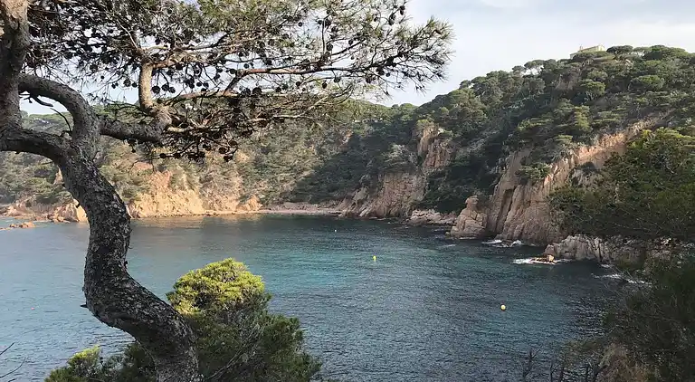 Apartment in Sant Feliu de Guíxols
