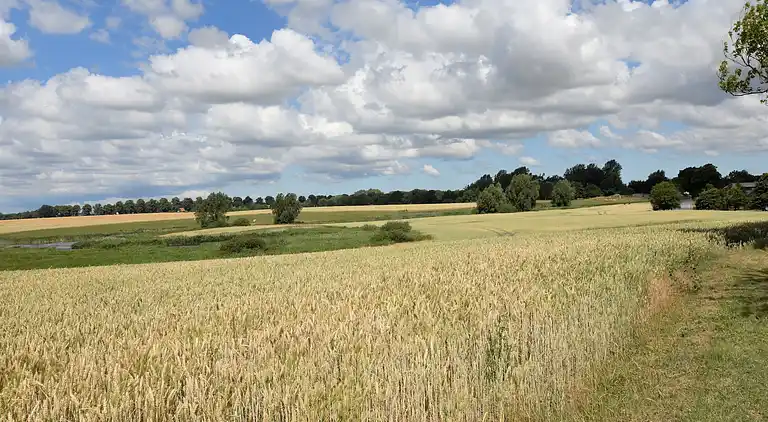 Apartment in Dumsevitz