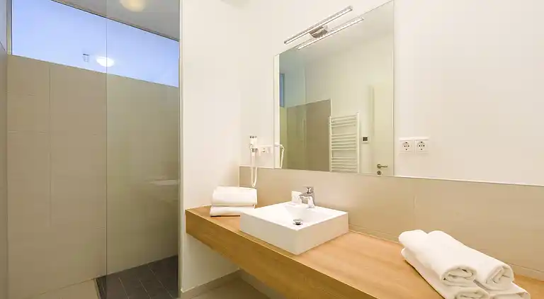 Apartment in Lutzmannsburg