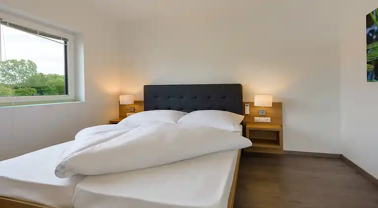 Apartment in Lutzmannsburg