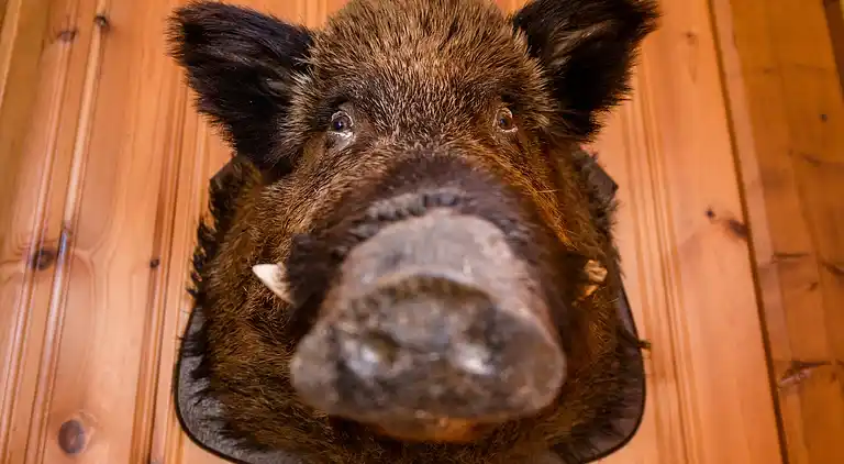 Holiday home in Wilhelmstal