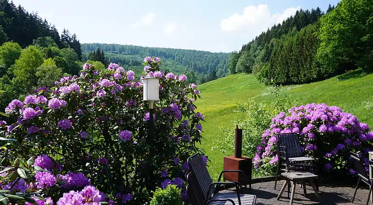 Ferienhaus in Züschen