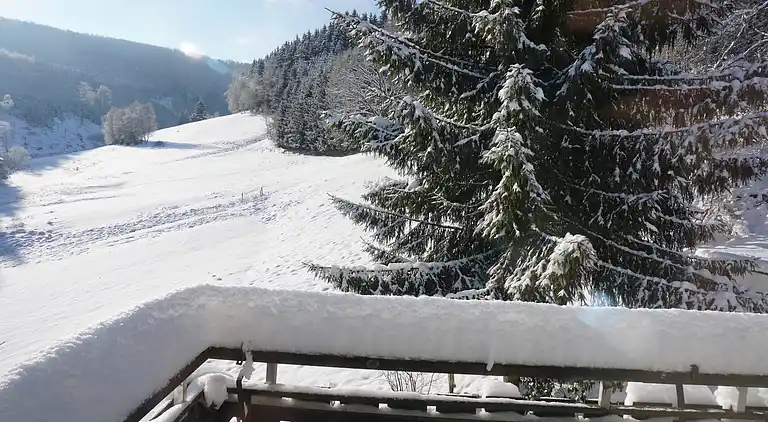 Ferienhaus in Züschen