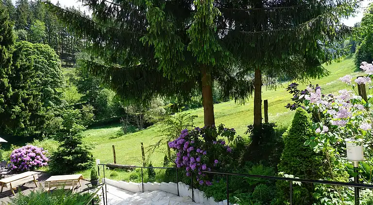 Ferienhaus in Züschen