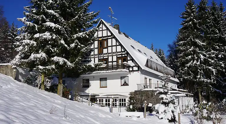 Ferienhaus in Züschen