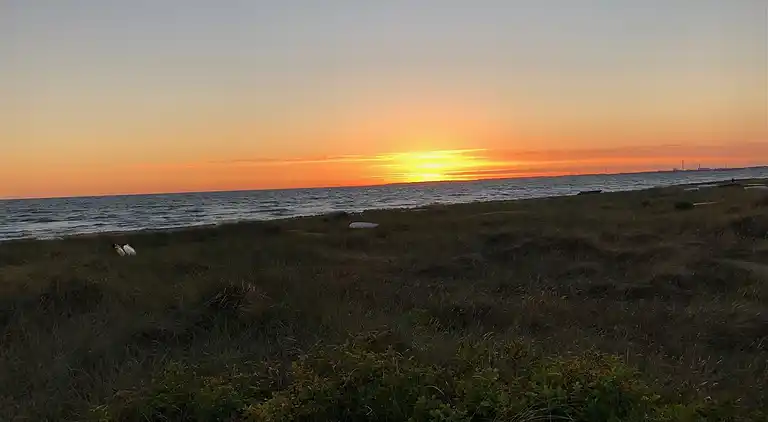 Modern vakantiehuis op 200 meter van het strand.