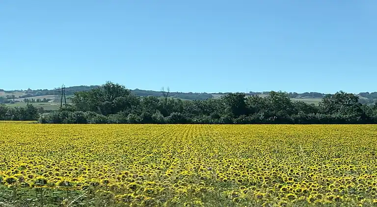 Holiday home in Homps