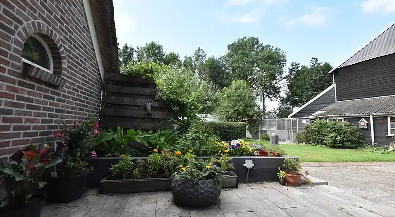 Sommerhus i Ruinerwold