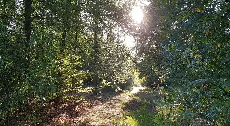 Holiday home in Limbourg