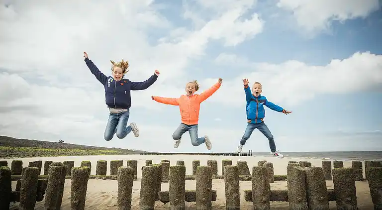 Sommerhus i Nieuwvliet