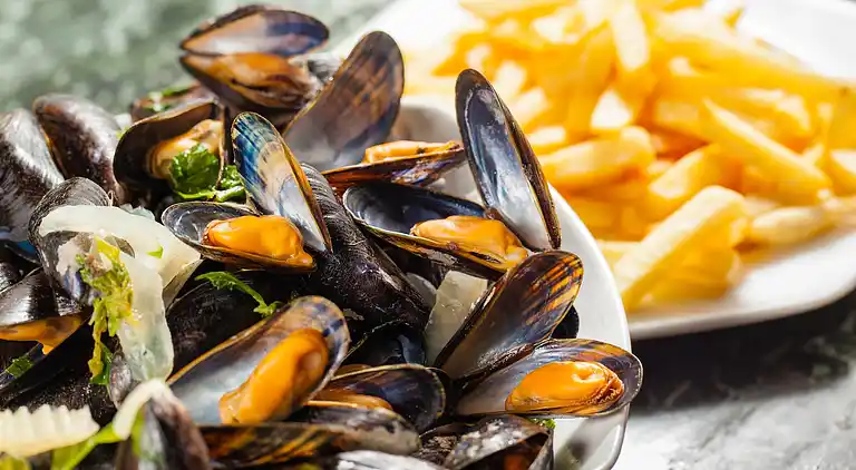 Sommerhus i Nieuwvliet