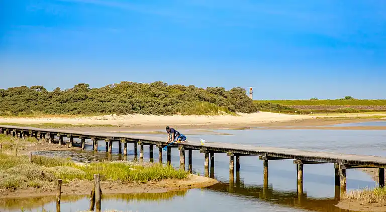 Sommerhus i Nieuwvliet