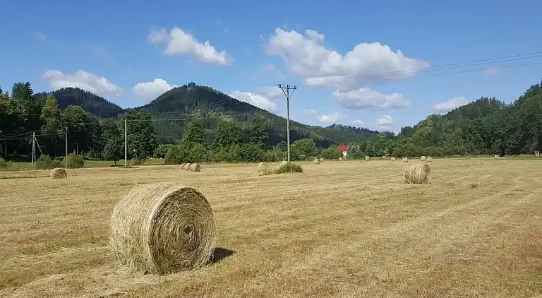 Herregård i Radomierz