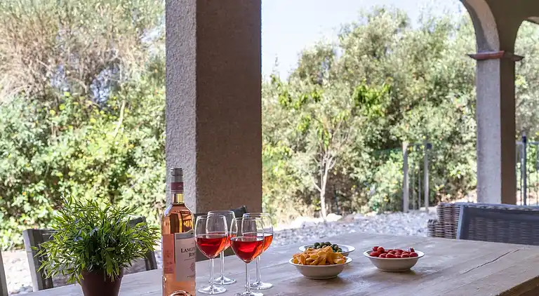 Sommerhus i Occitanie