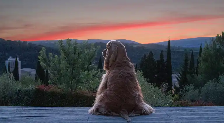 Villa in Serviès-en-Val