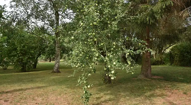 Ferielejlighed i Teschow