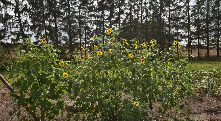 Ferielejlighed i Teschow