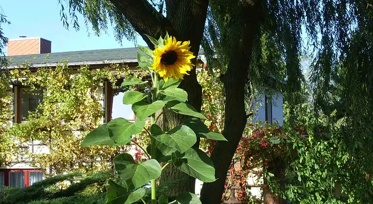 Ferielejlighed i Teschow