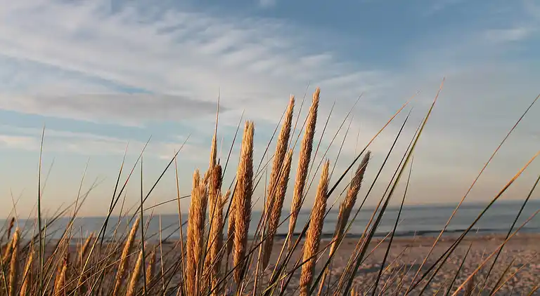 Sommerhus i Jörnstorf