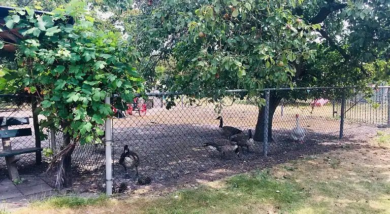 Semesterbostad i Bergen op Zoom