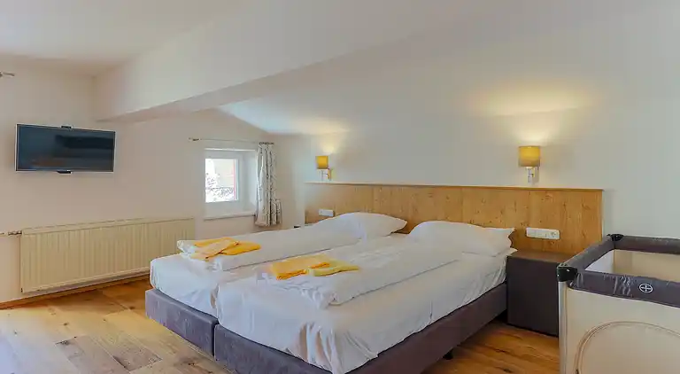 Holiday home in Hinterkrimml