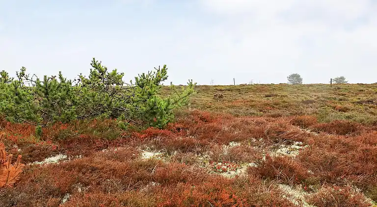 Sommerhus i Østerby Havn